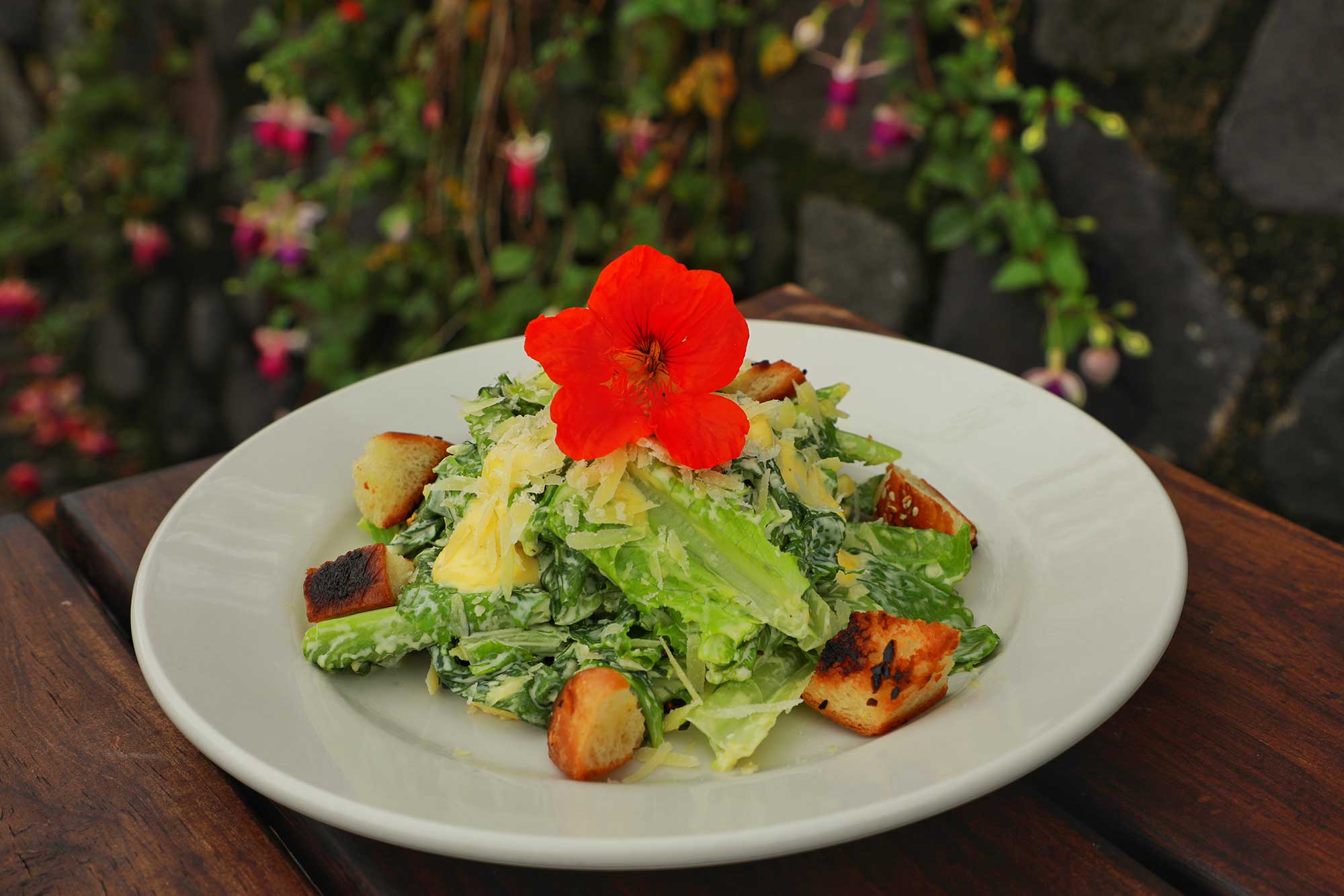 Ensalada césar Ensalada césar restaurante en antigua guatemala